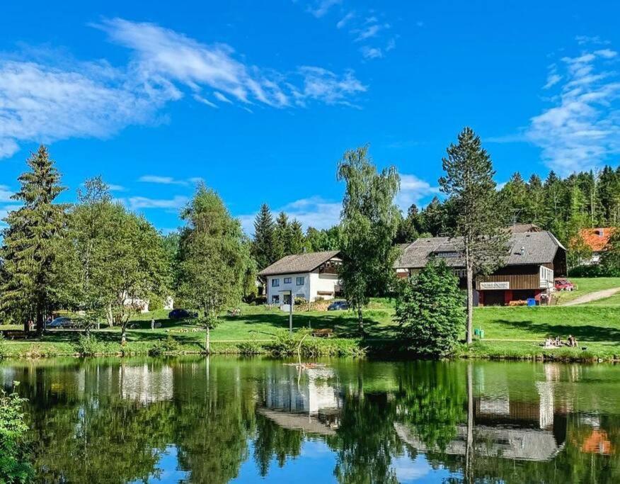 Ferienwohnung "Am Skilift" Herrischried Bagian luar foto