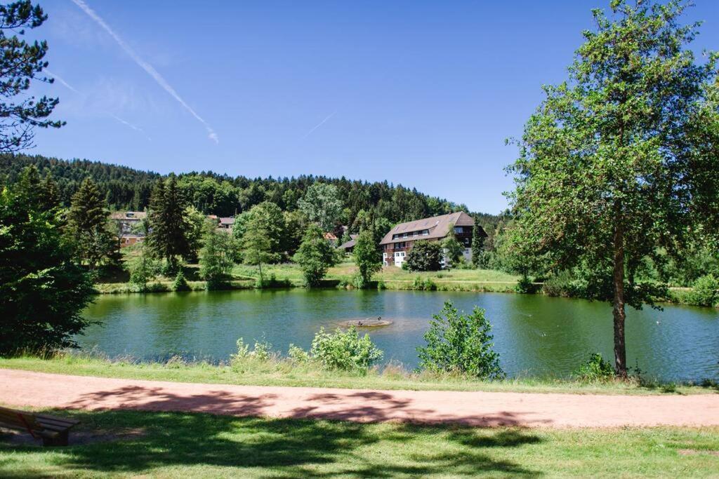 Ferienwohnung "Am Skilift" Herrischried Bagian luar foto