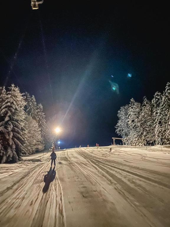 Ferienwohnung "Am Skilift" Herrischried Bagian luar foto
