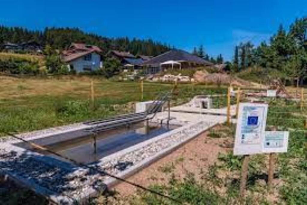 Ferienwohnung "Am Skilift" Herrischried Bagian luar foto