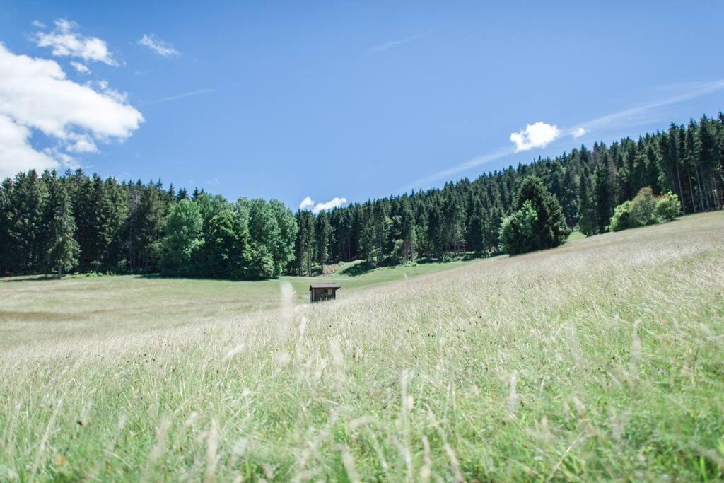 Ferienwohnung "Am Skilift" Herrischried Bagian luar foto
