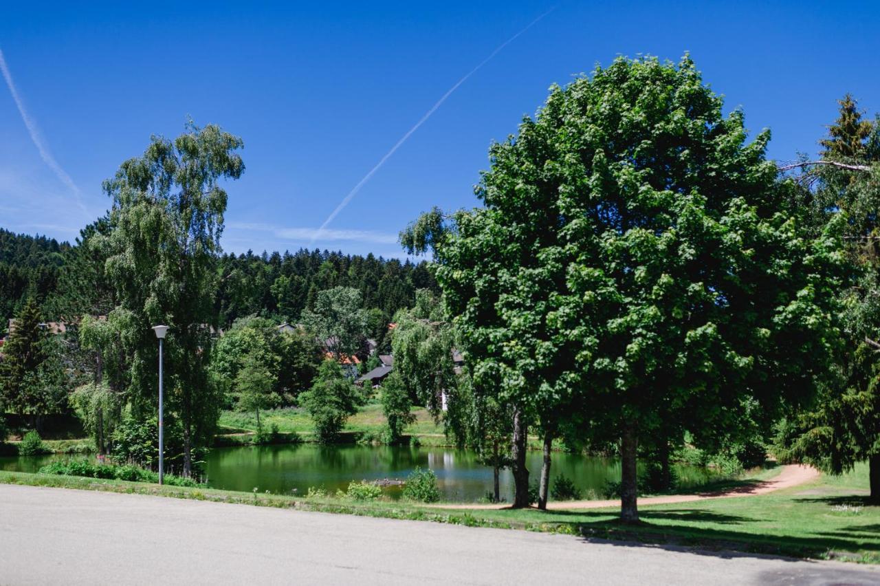 Ferienwohnung "Am Skilift" Herrischried Bagian luar foto