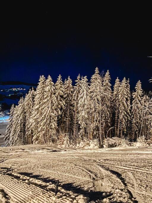 Ferienwohnung "Am Skilift" Herrischried Bagian luar foto