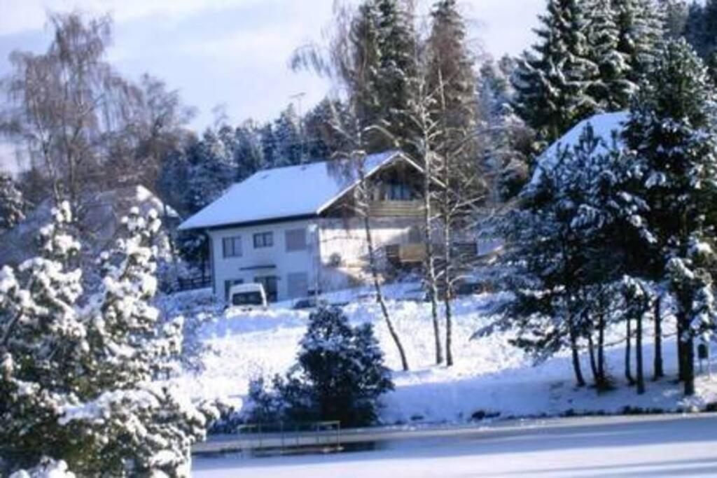 Ferienwohnung "Am Skilift" Herrischried Bagian luar foto