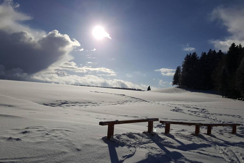 Ferienwohnung "Am Skilift" Herrischried Bagian luar foto