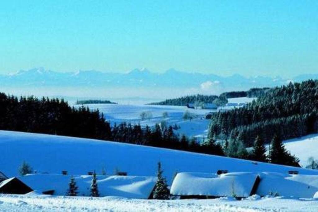 Ferienwohnung "Am Skilift" Herrischried Bagian luar foto