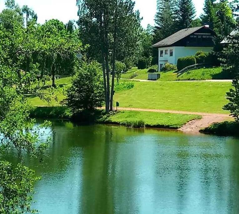 Ferienwohnung "Am Skilift" Herrischried Bagian luar foto