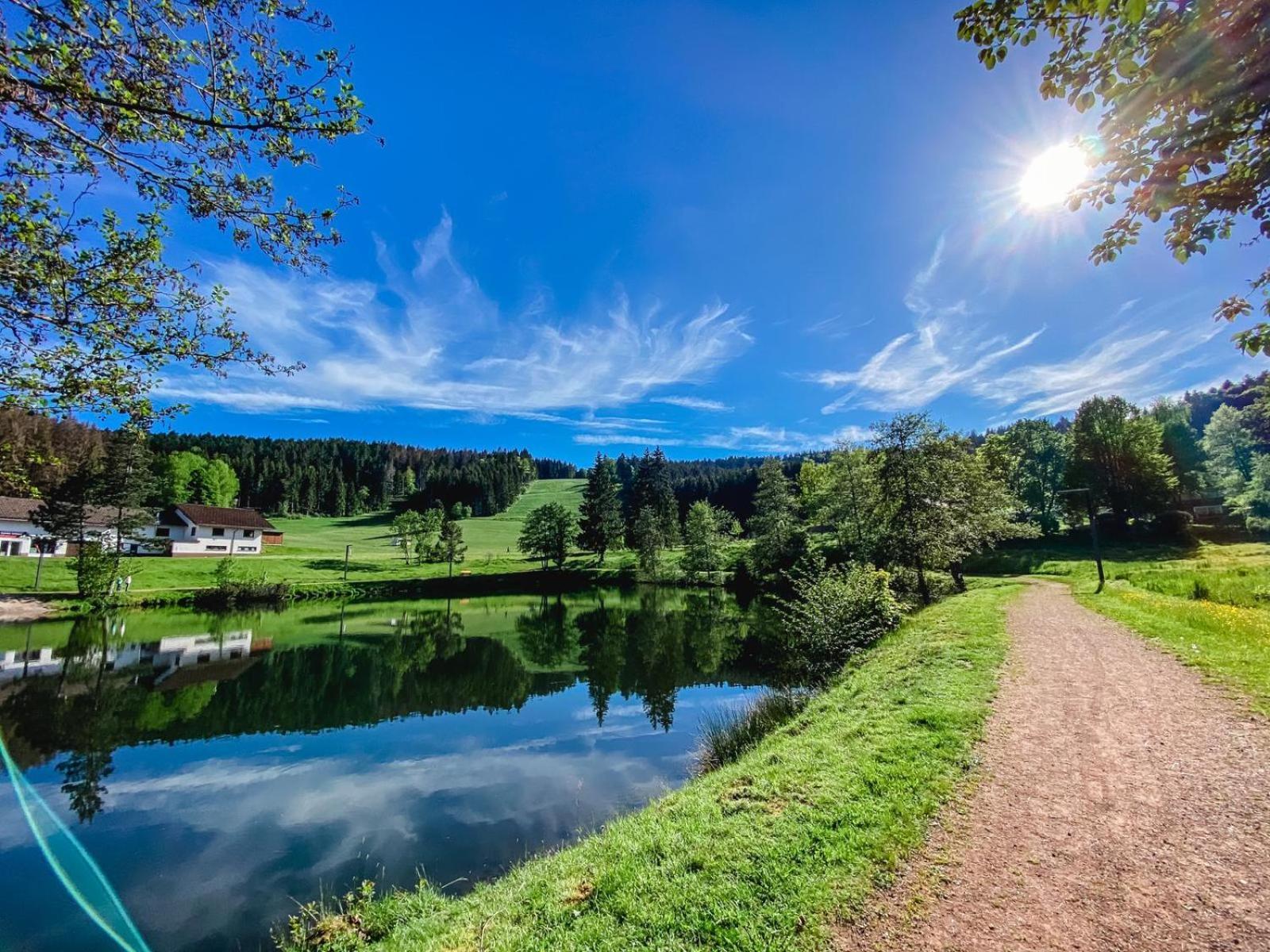 Ferienwohnung "Am Skilift" Herrischried Bagian luar foto
